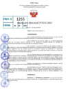 Vista preliminar de documento R.D 1252-2022