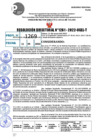 Vista preliminar de documento R.D 1261-2022
