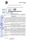 Vista preliminar de documento R.D 1266-2022