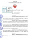 Vista preliminar de documento R.D 1265-2022