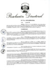 Vista preliminar de documento RD 052-2019.pdf