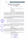 Vista preliminar de documento RDR 123-2022