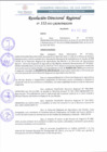 Vista preliminar de documento RDR 112-2022