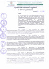 Vista preliminar de documento RDR 114-2022