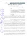 Vista preliminar de documento RDR 125-2022