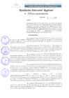 Vista preliminar de documento RDR 124-2022