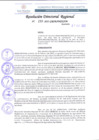 Vista preliminar de documento RDR 133-2022