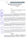 Vista preliminar de documento RDR 136-2022