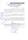Vista preliminar de documento RDR 144-2022