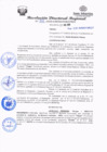 Vista preliminar de documento redi2020_351.pdf