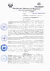 Vista preliminar de documento redi2020_360.pdf