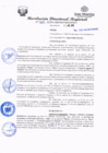 Vista preliminar de documento redi2020_362.pdf