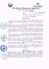Vista preliminar de documento redi2020_364.pdf