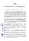 Vista preliminar de documento RES-150-2022-GRDS