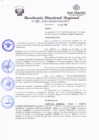 Vista preliminar de documento redi2020_387.pdf