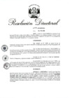 Vista preliminar de documento RD 013-2019.pdf