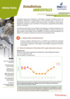 Vista preliminar de documento Estadísticas Ambientales: Octubre 2020