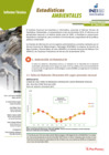 Vista preliminar de documento Estadísticas Ambientales: Diciembre 2019
