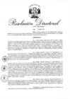 Vista preliminar de documento RD 011-2019.pdf