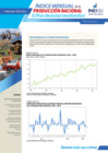 Vista preliminar de documento Índice Mensual de la Producción Nacional (Cifras Desestacionalizadas) - Abril 2019