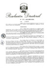Vista preliminar de documento RD 004-2019.pdf