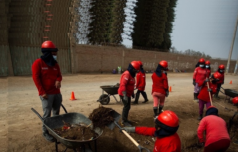 Grupo de personas con discapacidad trabajando en una vereda