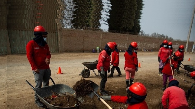 Grupo de personas con discapacidad trabajando en una vereda  