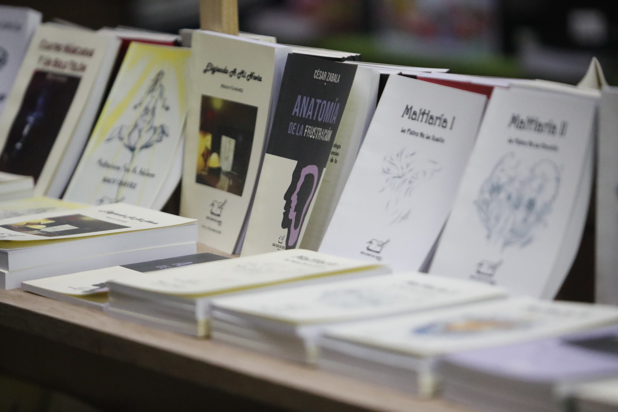 Ministerio de Cultura anuncia la convocatoria a la sexta edición del Premio Nacional de Literatura