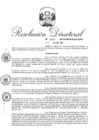 Vista preliminar de documento RD. N° 0002-2019-INPE_OGA-URH.pdf