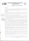 Vista preliminar de documento ORDENANZA REGIONAL Nro 0030 - 2017-GRU-CR.