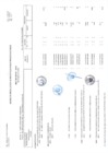 Vista preliminar de documento rsg_021_2019_mimp_sg_anexos