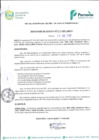 Vista preliminar de documento RA-132-2021.pdf