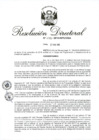 Vista preliminar de documento RD 253-2018.pdf