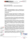Vista preliminar de documento Resolución Directoral