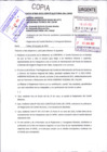 Vista preliminar de documento CARTA N°005-2022-COMITE ELECTORAL DEL CAFAE (3).pdf