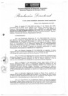 Vista preliminar de documento Resolución Directoral N° 00091-2009