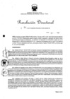 Vista preliminar de documento Resolución Directoral N° 00091-2017