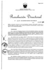 Vista preliminar de documento Resolución Directoral N° 00110-2017