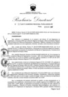 Vista preliminar de documento Resolución Directoral N° 00114-2017