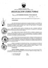 Vista preliminar de documento Resolución Directoral N° 00060-2017