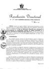 Vista preliminar de documento Resolución Directoral N° 00115-2017