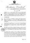 Vista preliminar de documento Resolución Directoral N° 00007-2020