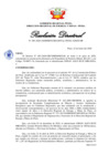 Vista preliminar de documento Resolución Directoral N° 00085-2020