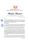 Vista preliminar de documento Resolución Directoral N° 00114-2020
