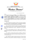 Vista preliminar de documento Resolución Directoral N° 00132-2020
