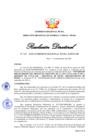 Vista preliminar de documento Resolución Directoral N° 00143-2020
