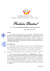 Vista preliminar de documento Resolución Directoral N° 00187-2020