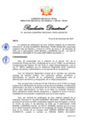 Vista preliminar de documento Resolución Directoral N° 00206-2020