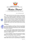 Vista preliminar de documento Resolución Directoral N° 00204-2020