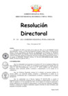Vista preliminar de documento Resolución Directoral N° 00155-2021